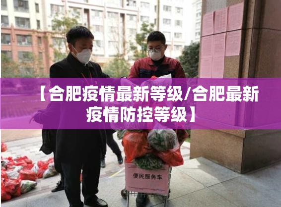 【合肥疫情最新等级/合肥最新疫情防控等级】