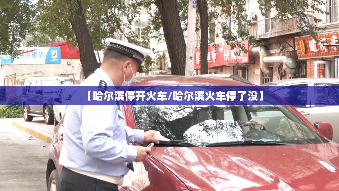 【哈尔滨停开火车/哈尔滨火车停了没】