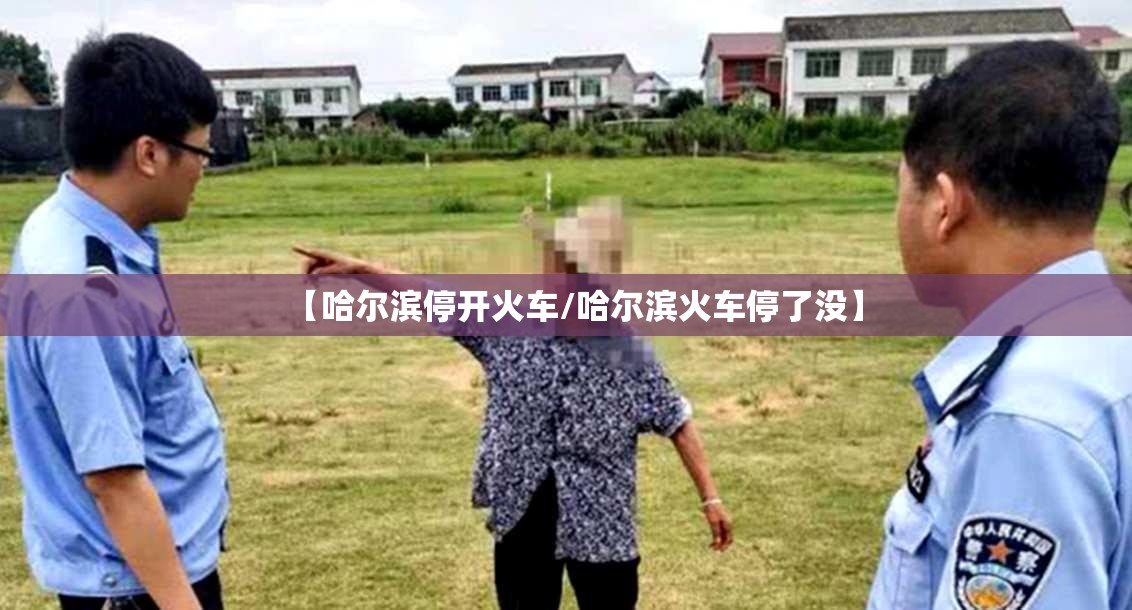 【哈尔滨停开火车/哈尔滨火车停了没】