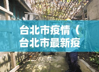 台北市疫情（台北市最新疫情）