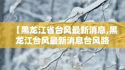 【黑龙江省台风最新消息,黑龙江台风最新消息台风路径】