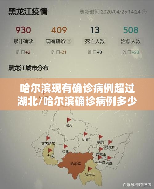 哈尔滨现有确诊病例超过湖北/哈尔滨确诊病例多少了