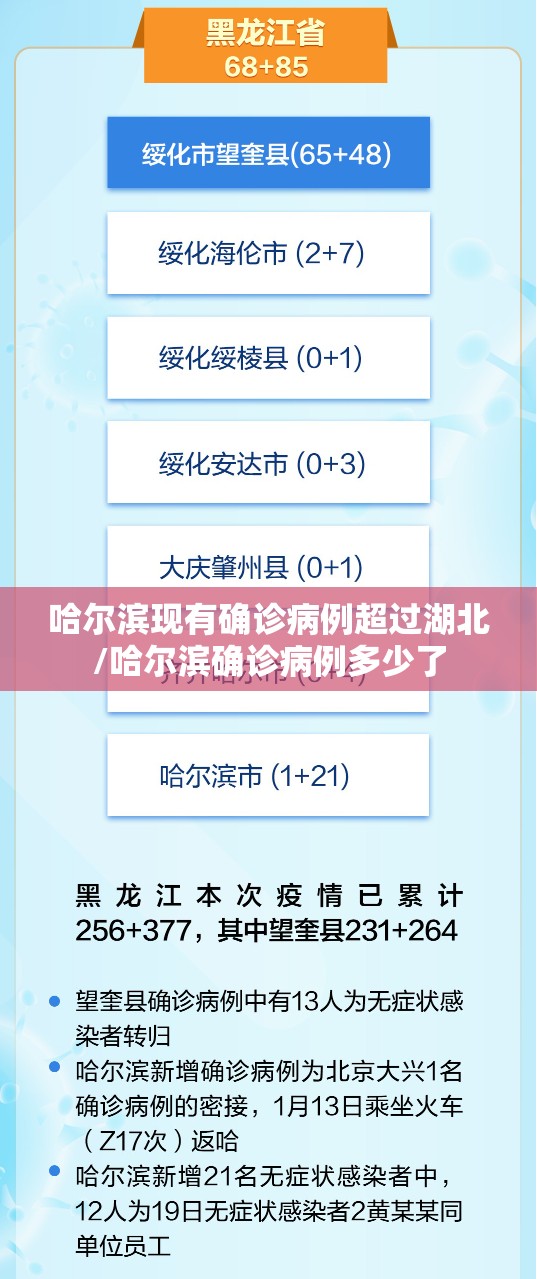 哈尔滨现有确诊病例超过湖北/哈尔滨确诊病例多少了