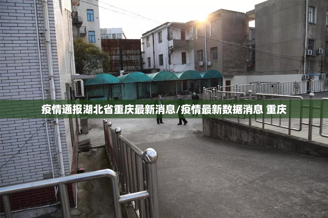 疫情通报湖北省重庆最新消息/疫情最新数据消息 重庆