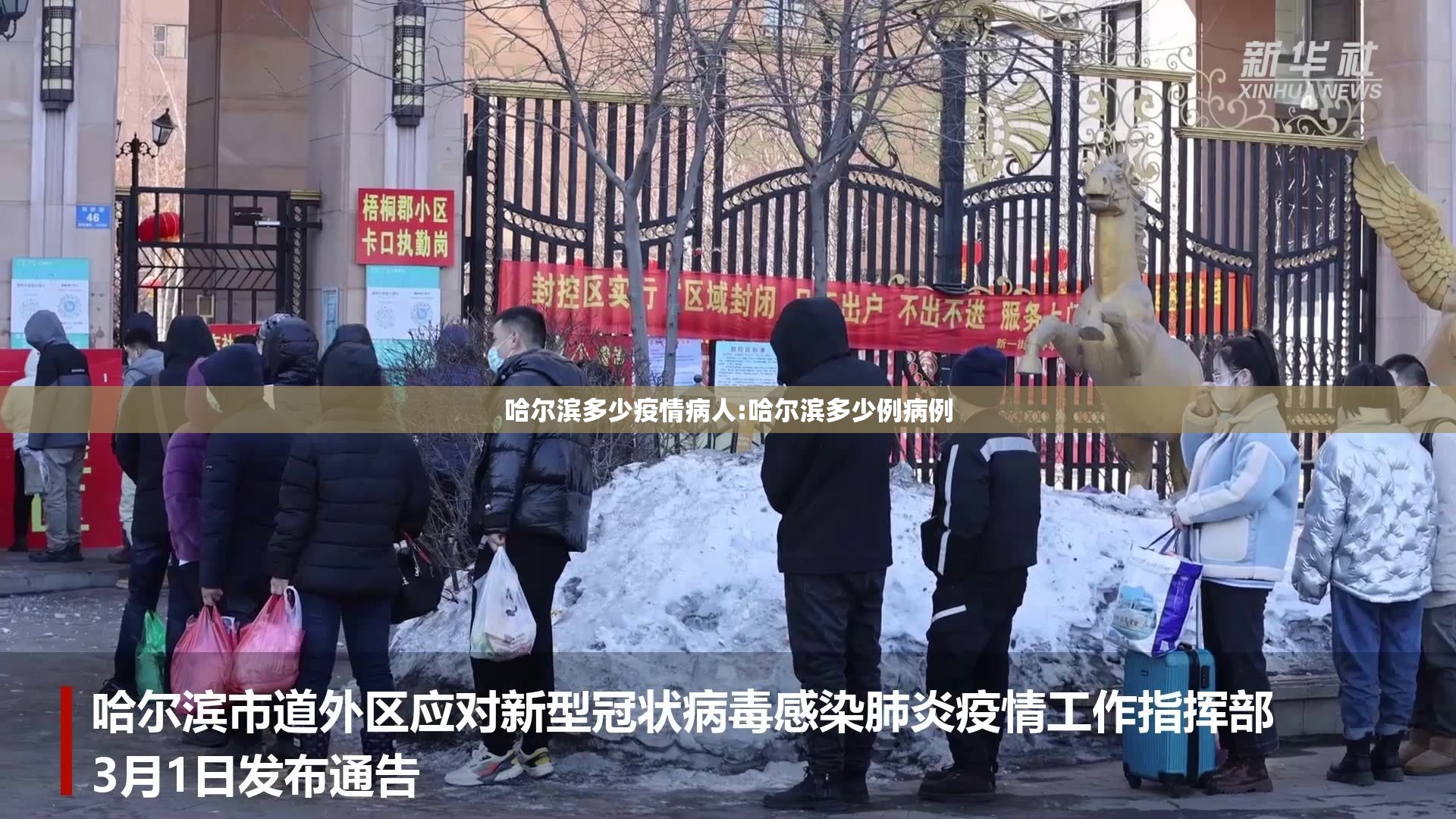哈尔滨多少疫情病人:哈尔滨多少例病例