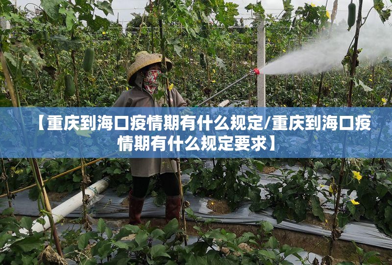 【重庆到海口疫情期有什么规定/重庆到海口疫情期有什么规定要求】