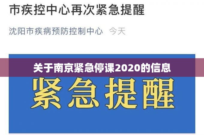 关于南京紧急停课2020的信息