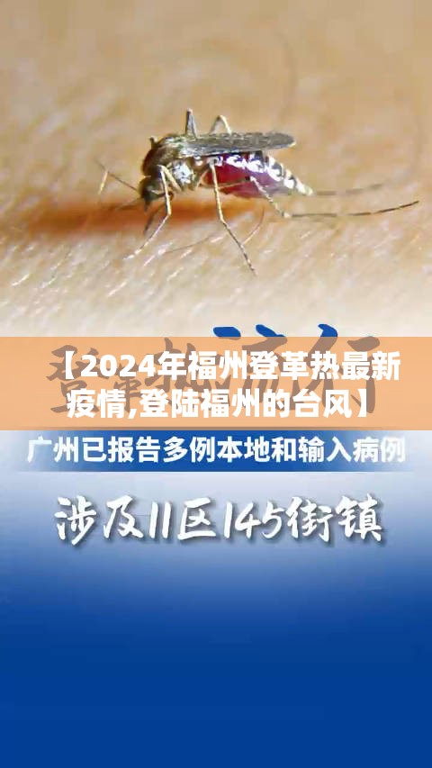 【2024年福州登革热最新疫情,登陆福州的台风】