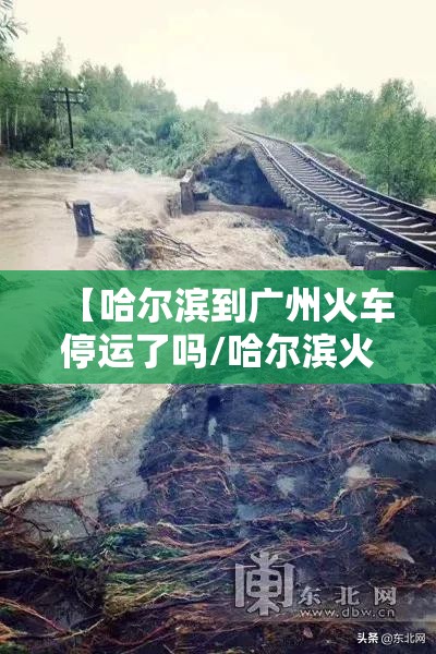 【哈尔滨到广州火车停运了吗/哈尔滨火车到广州多长时间】