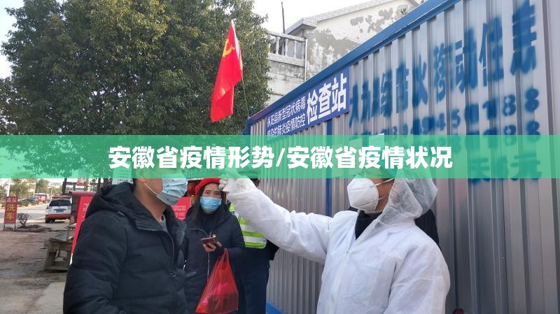 安徽省疫情形势/安徽省疫情状况