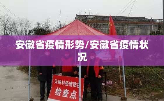 安徽省疫情形势/安徽省疫情状况