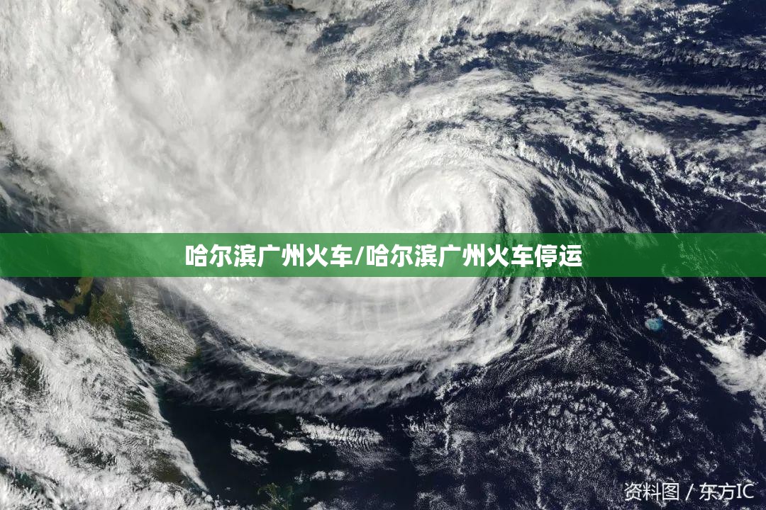 哈尔滨广州火车/哈尔滨广州火车停运
