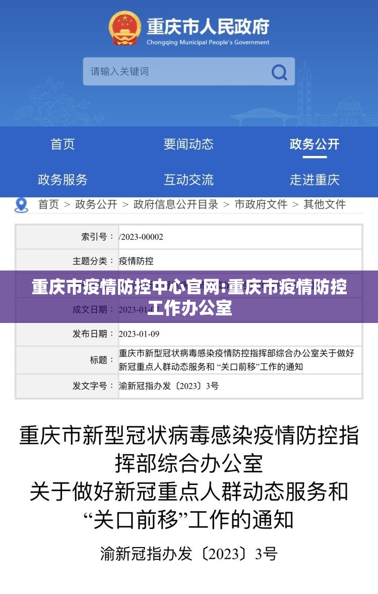 重庆市疫情防控中心官网:重庆市疫情防控工作办公室