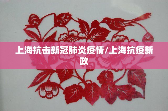 上海抗击新冠肺炎疫情/上海抗疫新政