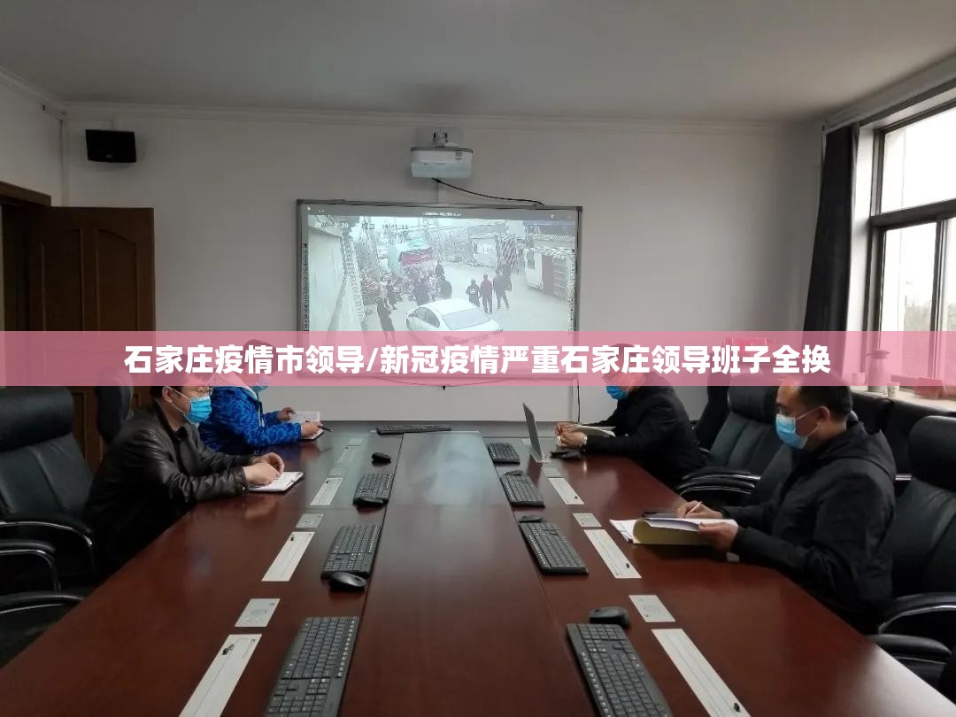 石家庄疫情市领导/新冠疫情严重石家庄领导班子全换