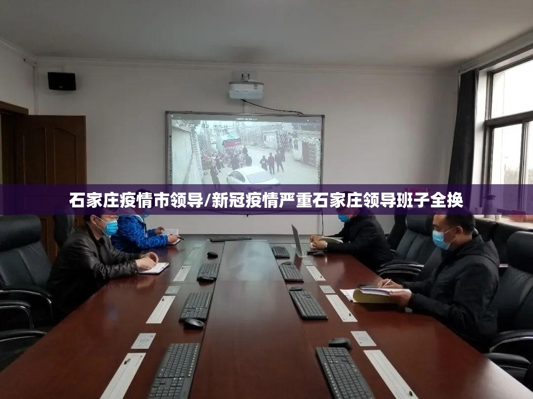 石家庄疫情市领导/新冠疫情严重石家庄领导班子全换