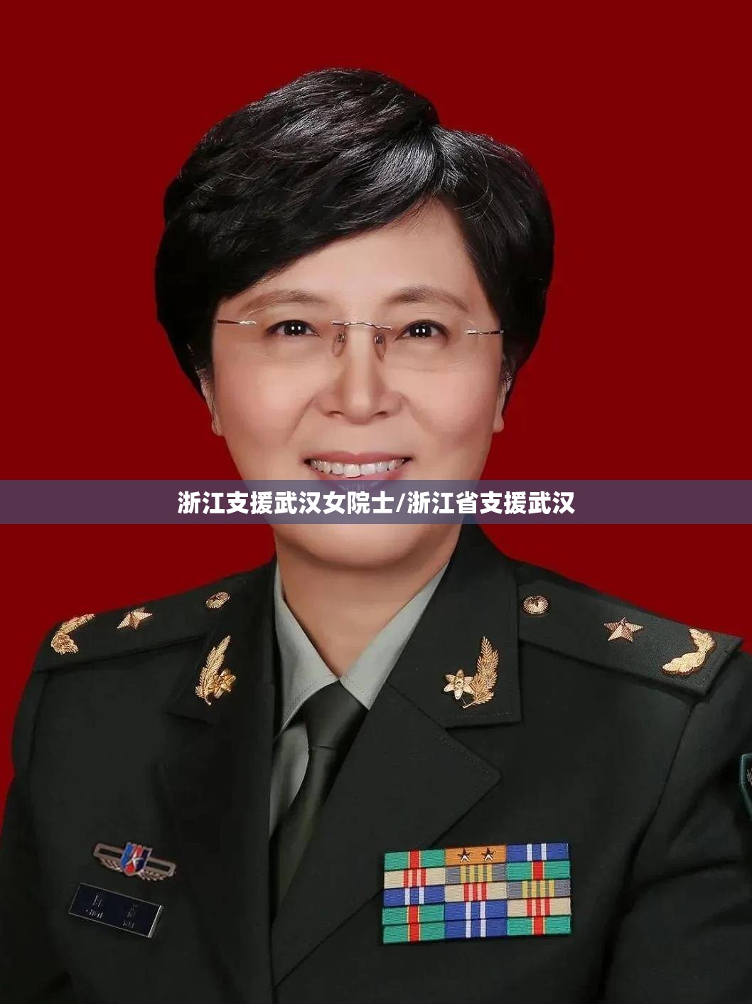 浙江支援武汉女院士/浙江省支援武汉