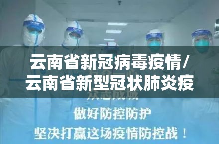 云南省新冠病毒疫情/云南省新型冠状肺炎疫情