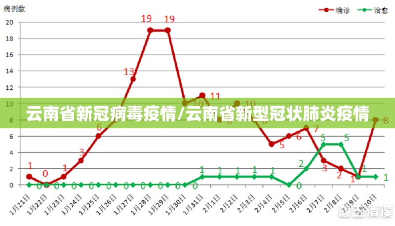 云南省新冠病毒疫情/云南省新型冠状肺炎疫情