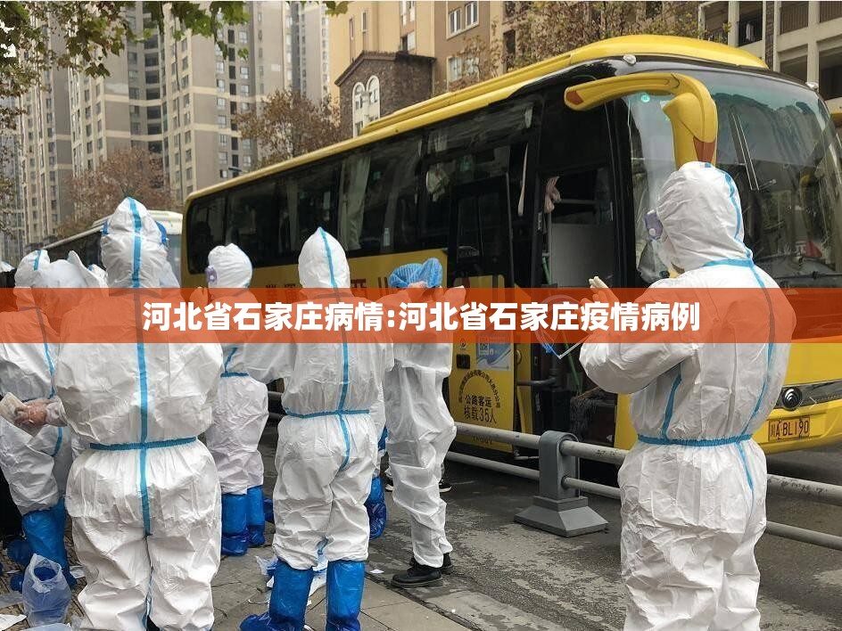 河北省石家庄病情:河北省石家庄疫情病例