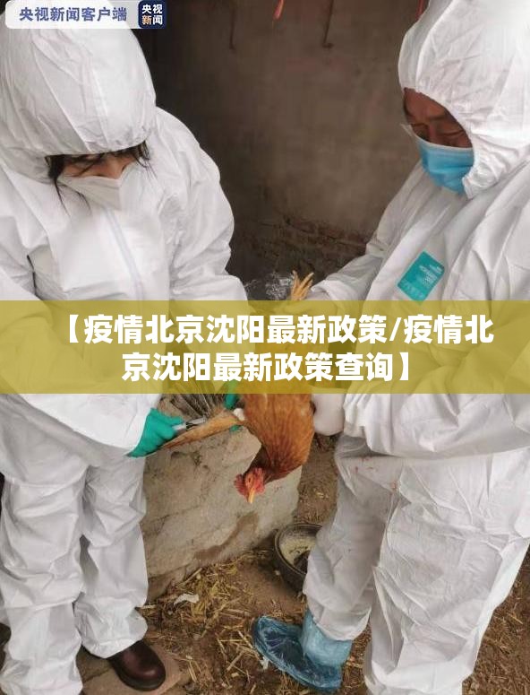 【疫情北京沈阳最新政策/疫情北京沈阳最新政策查询】