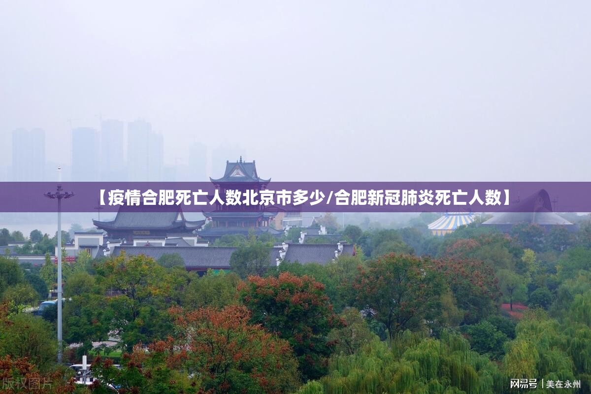 【疫情合肥死亡人数北京市多少/合肥新冠肺炎死亡人数】