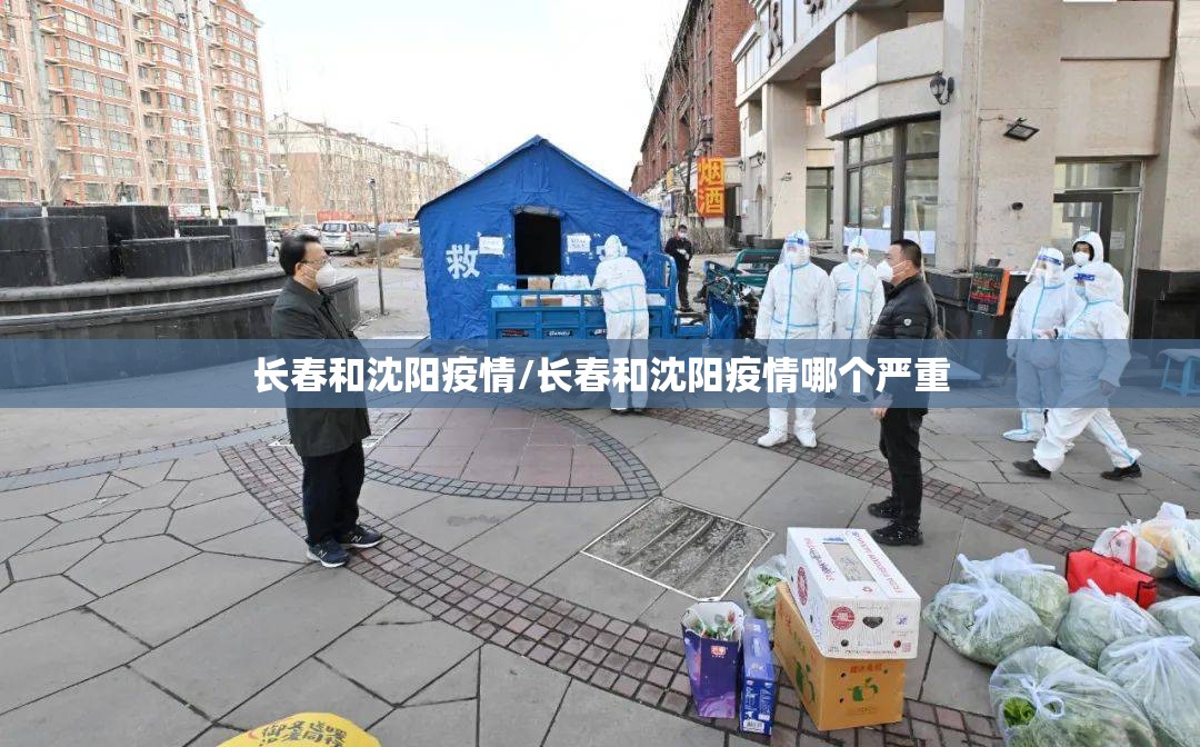 长春和沈阳疫情/长春和沈阳疫情哪个严重