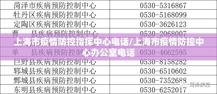 上海市疫情防控指挥中心电话/上海市疫情防控中心办公室电话