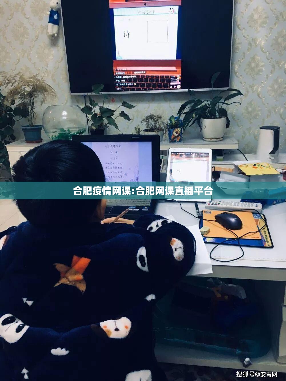 合肥疫情网课:合肥网课直播平台