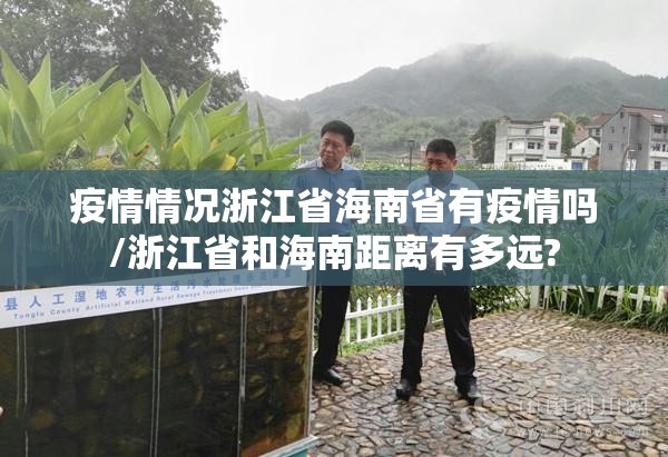 疫情情况浙江省海南省有疫情吗/浙江省和海南距离有多远?