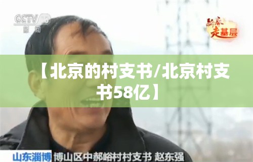 【北京的村支书/北京村支书58亿】