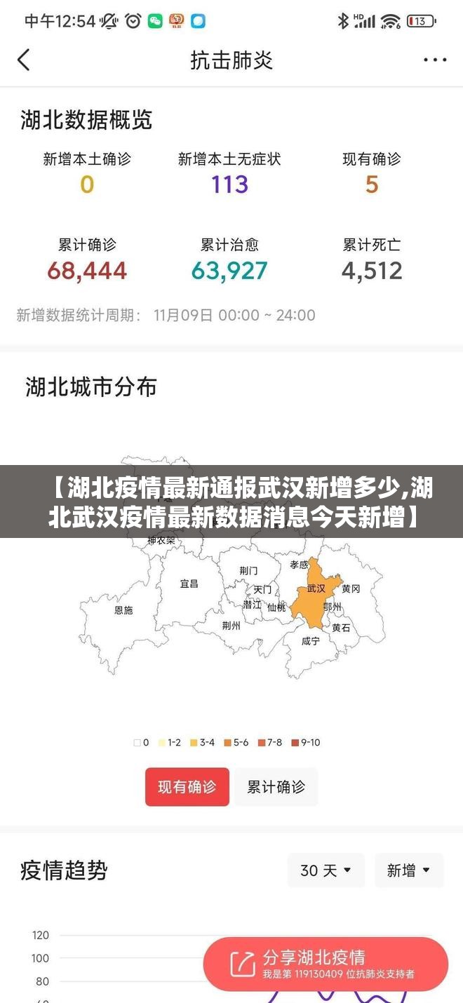 【湖北疫情最新通报武汉新增多少,湖北武汉疫情最新数据消息今天新增】