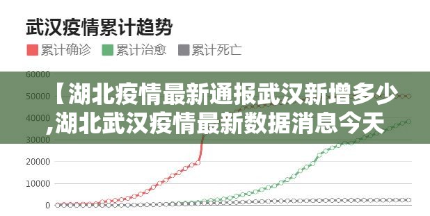 【湖北疫情最新通报武汉新增多少,湖北武汉疫情最新数据消息今天新增】
