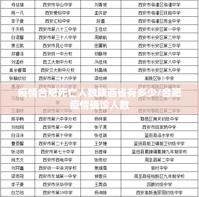疫情合肥死亡人数陕西省有多少/合肥疫情确诊人数