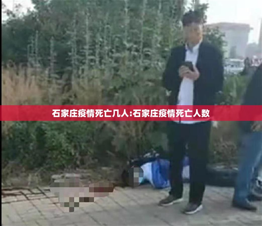 石家庄疫情死亡几人:石家庄疫情死亡人数