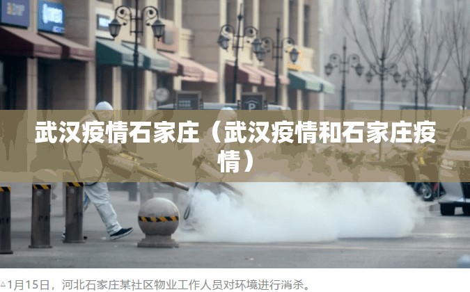 武汉疫情石家庄（武汉疫情和石家庄疫情）