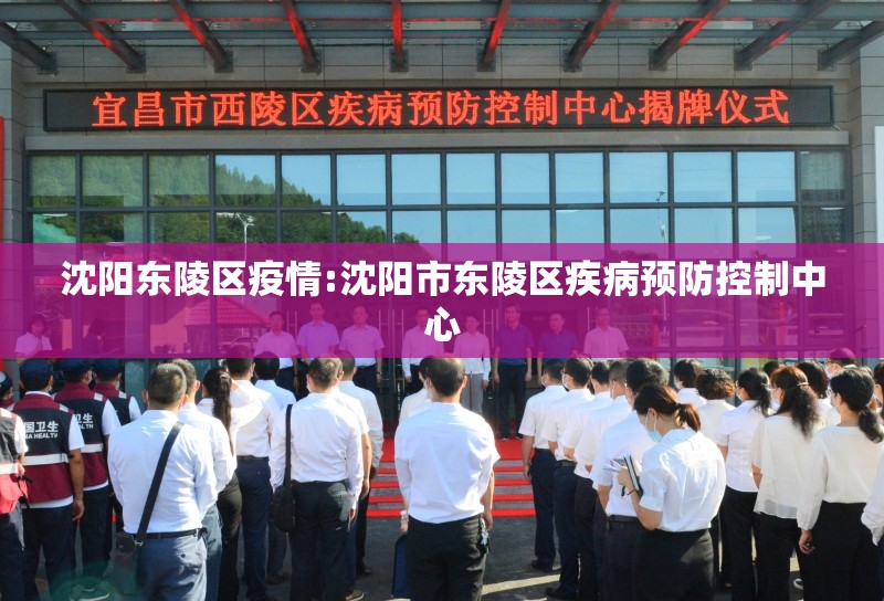 沈阳东陵区疫情:沈阳市东陵区疾病预防控制中心