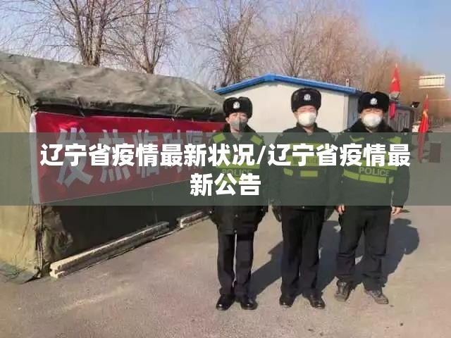 辽宁省疫情最新状况/辽宁省疫情最新公告