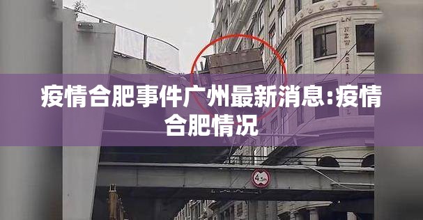 疫情合肥事件广州最新消息:疫情合肥情况