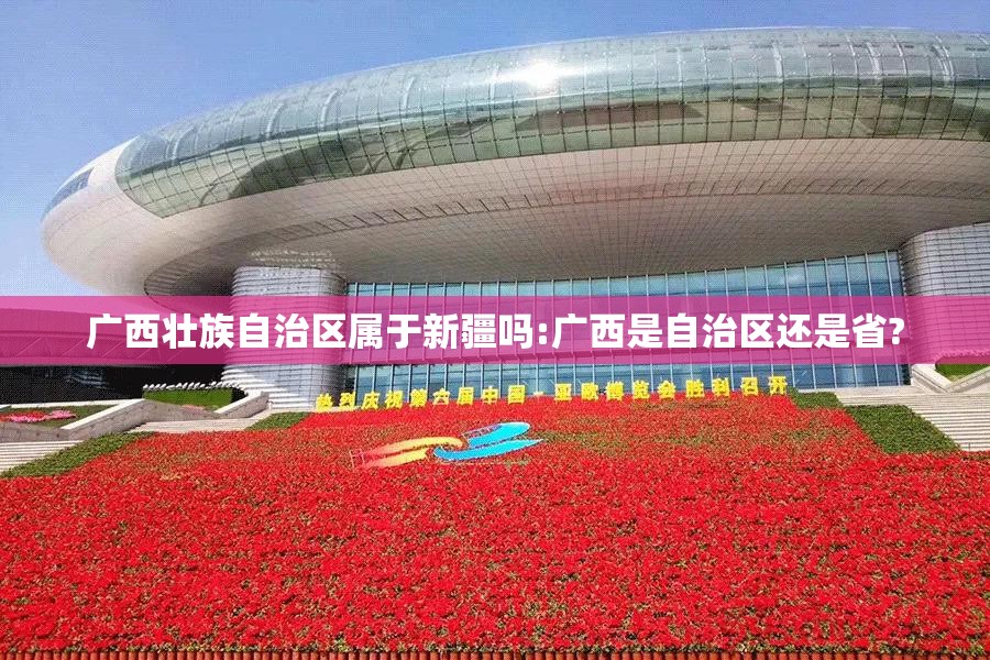 广西壮族自治区属于新疆吗:广西是自治区还是省?