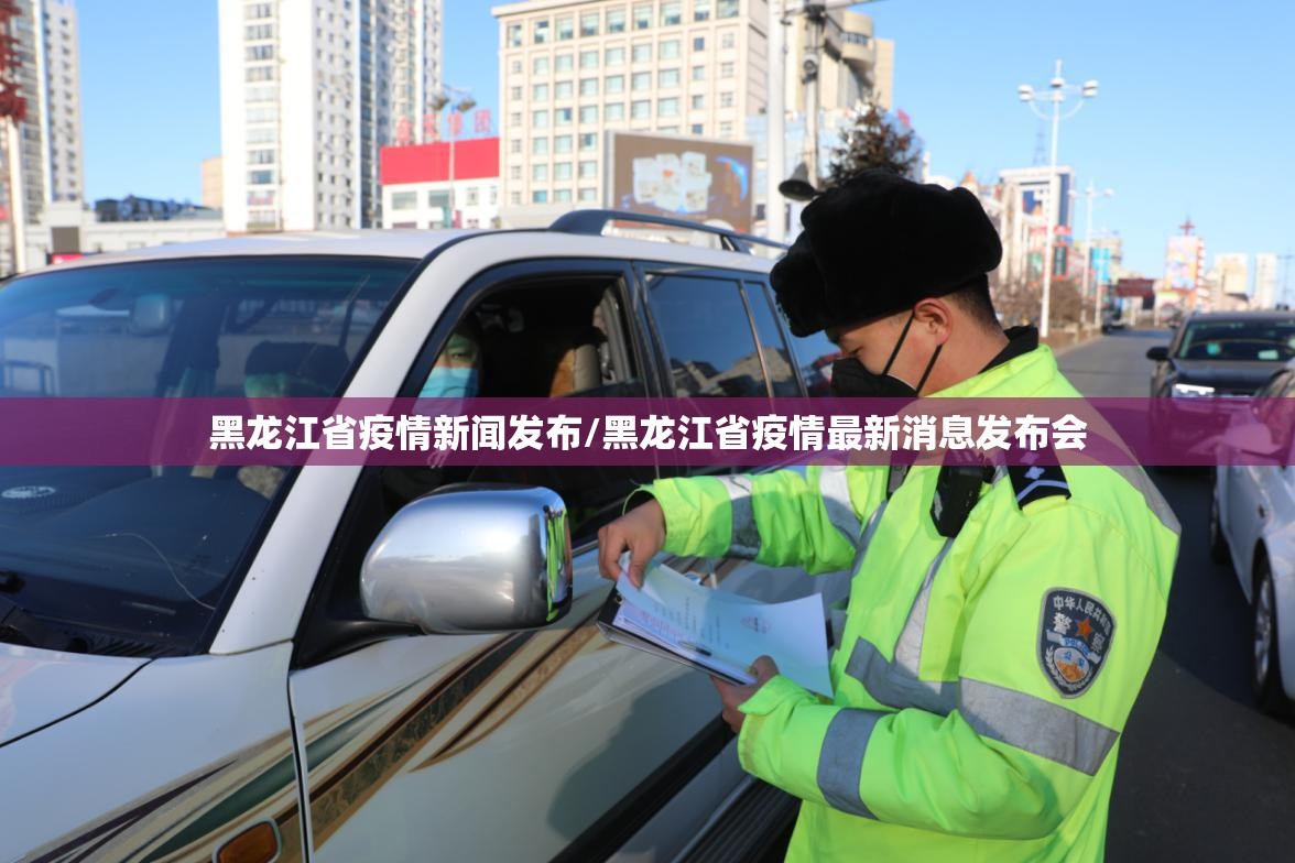 黑龙江省疫情新闻发布/黑龙江省疫情最新消息发布会