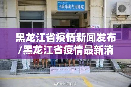 黑龙江省疫情新闻发布/黑龙江省疫情最新消息发布会