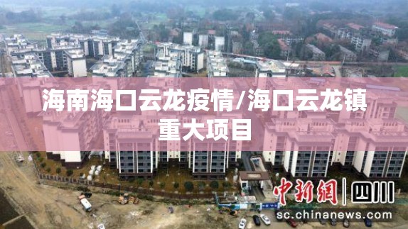 海南海口云龙疫情/海口云龙镇重大项目