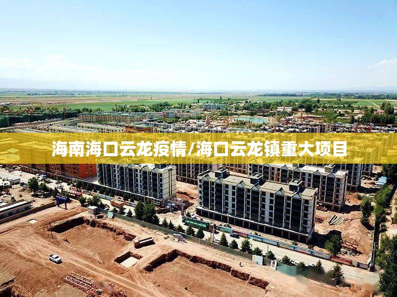 海南海口云龙疫情/海口云龙镇重大项目