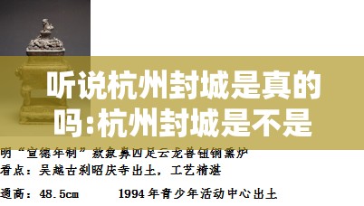听说杭州封城是真的吗:杭州封城是不是真的