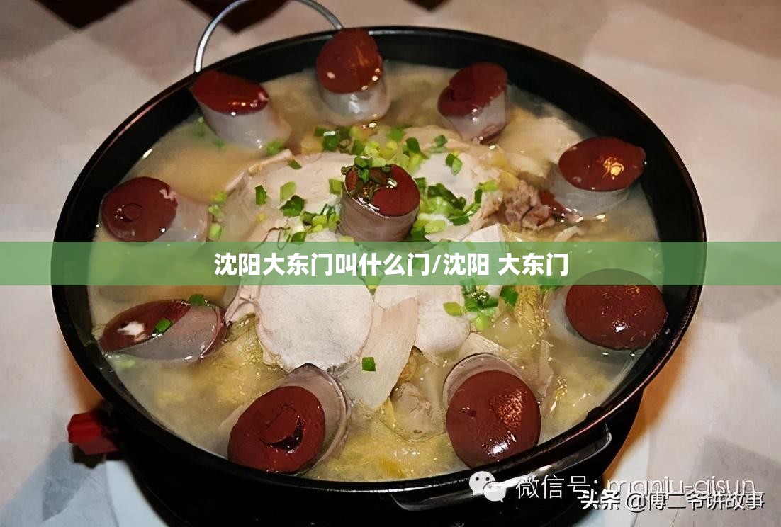 沈阳大东门叫什么门/沈阳 大东门