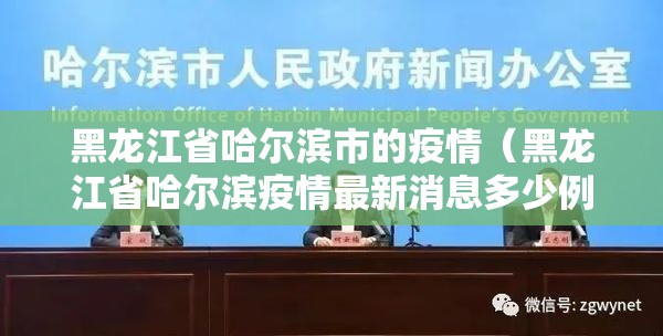 黑龙江省哈尔滨市的疫情（黑龙江省哈尔滨疫情最新消息多少例了）