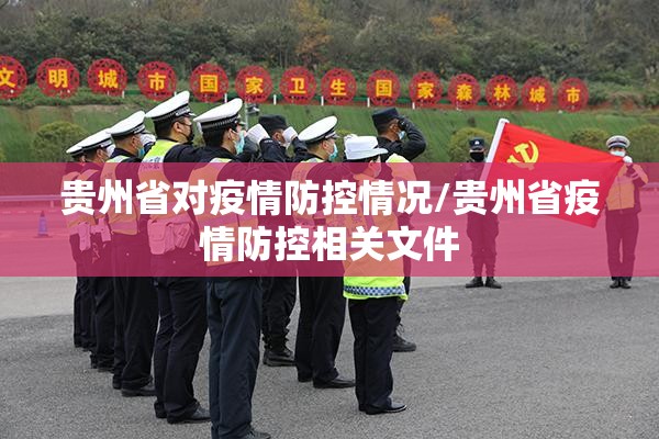 贵州省对疫情防控情况/贵州省疫情防控相关文件