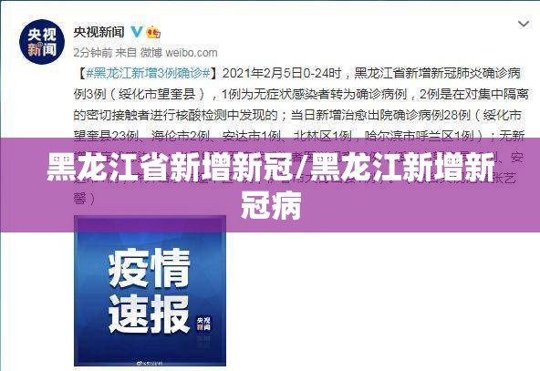 黑龙江省新增新冠/黑龙江新增新冠病