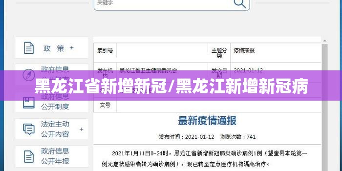 黑龙江省新增新冠/黑龙江新增新冠病